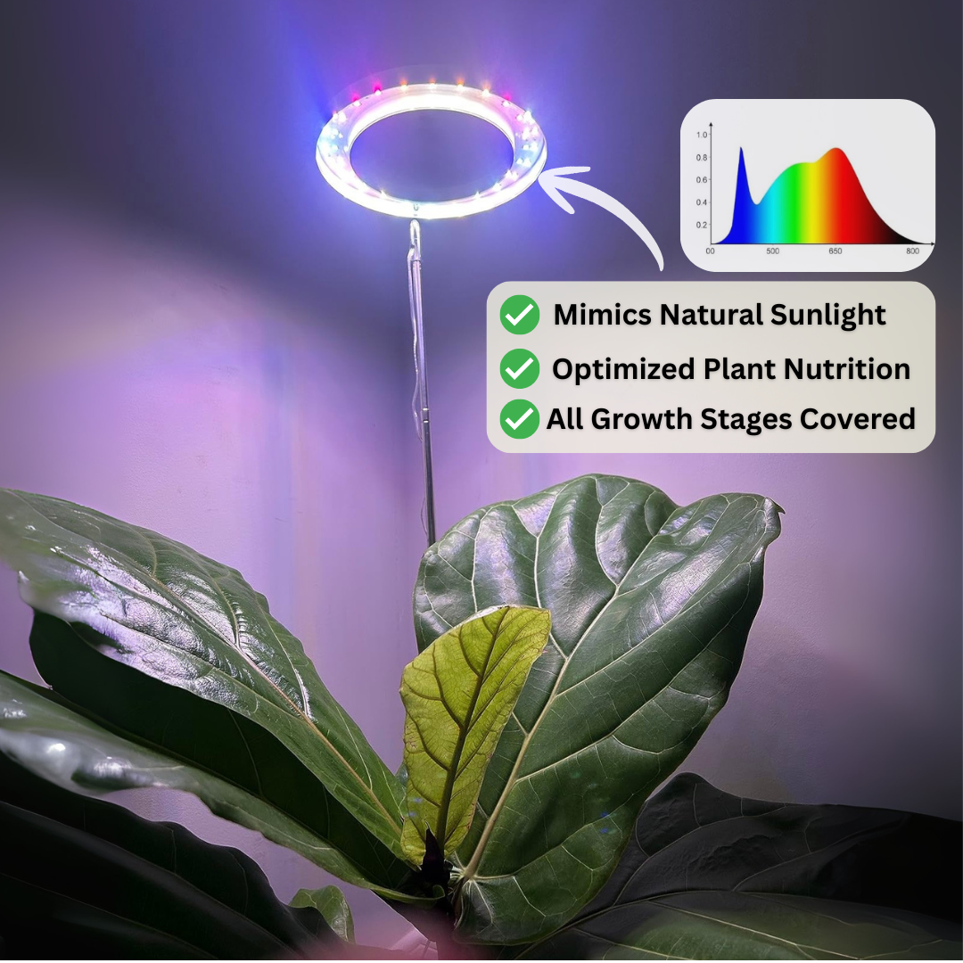 PlantSpot - Indoor Growing Light