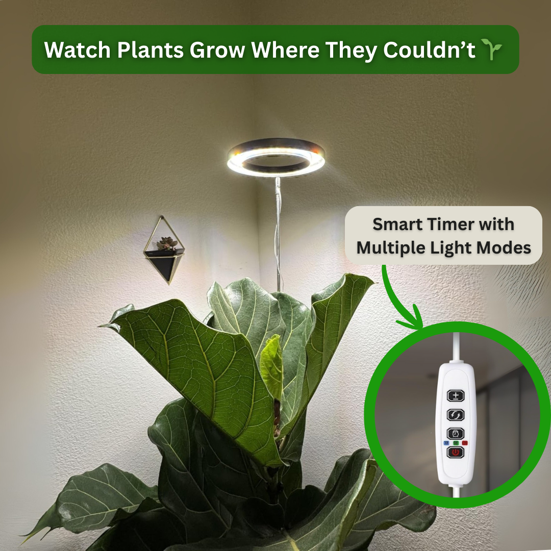 PlantSpot - Indoor Growing Light
