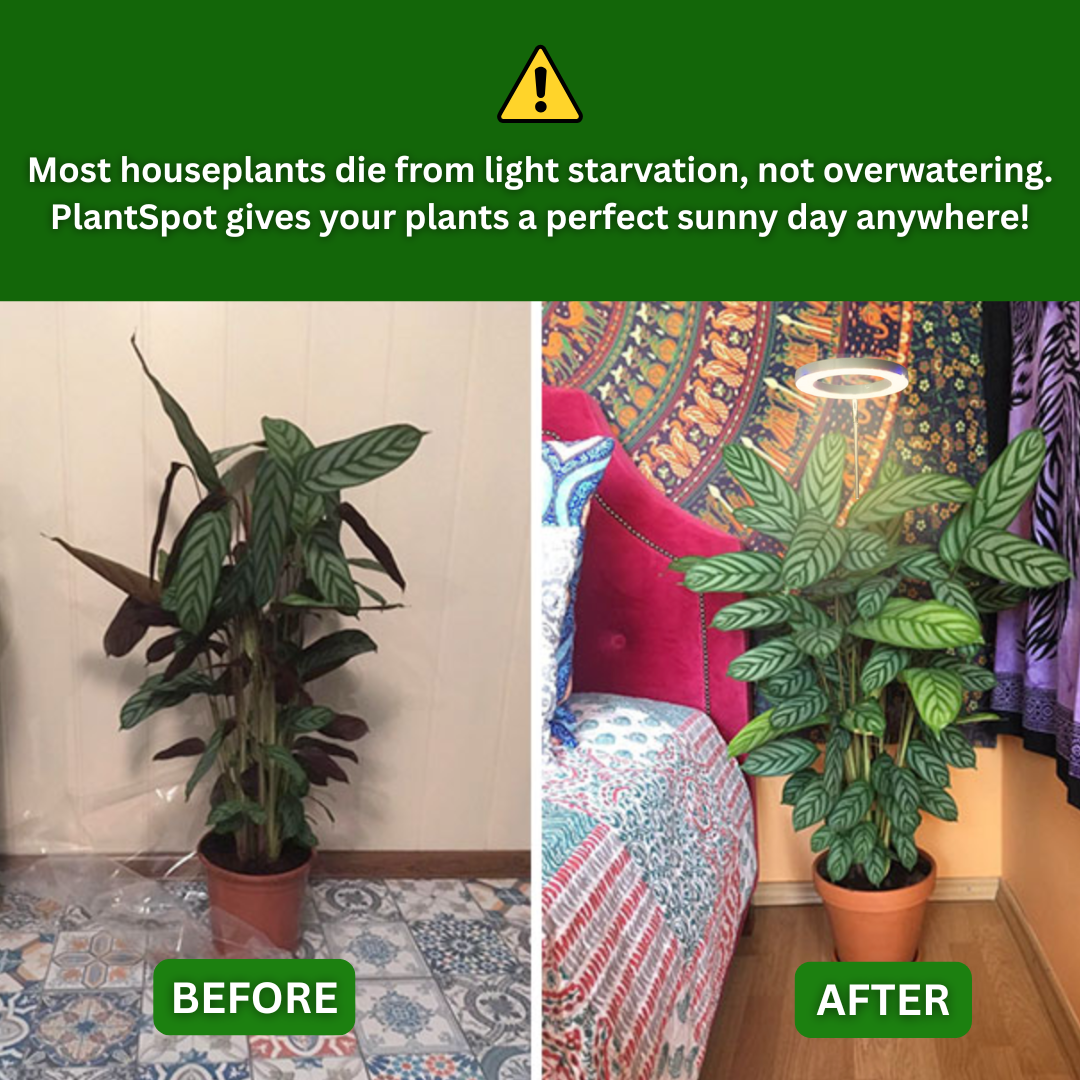PlantSpot - Indoor Growing Light