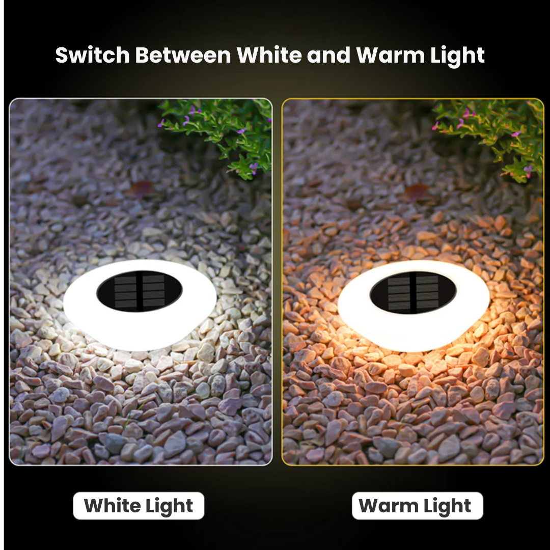 EcoBright Solar Light