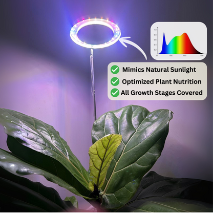 PlantSpot - Indoor Growing Light