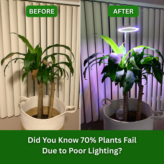 PlantSpot - Indoor Growing Light
