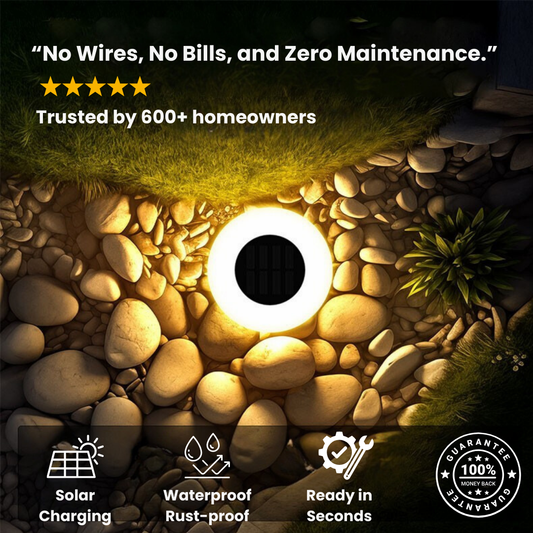 EcoBright Solar Light