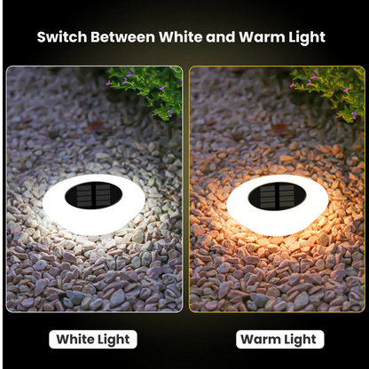 EcoBright Solar Light